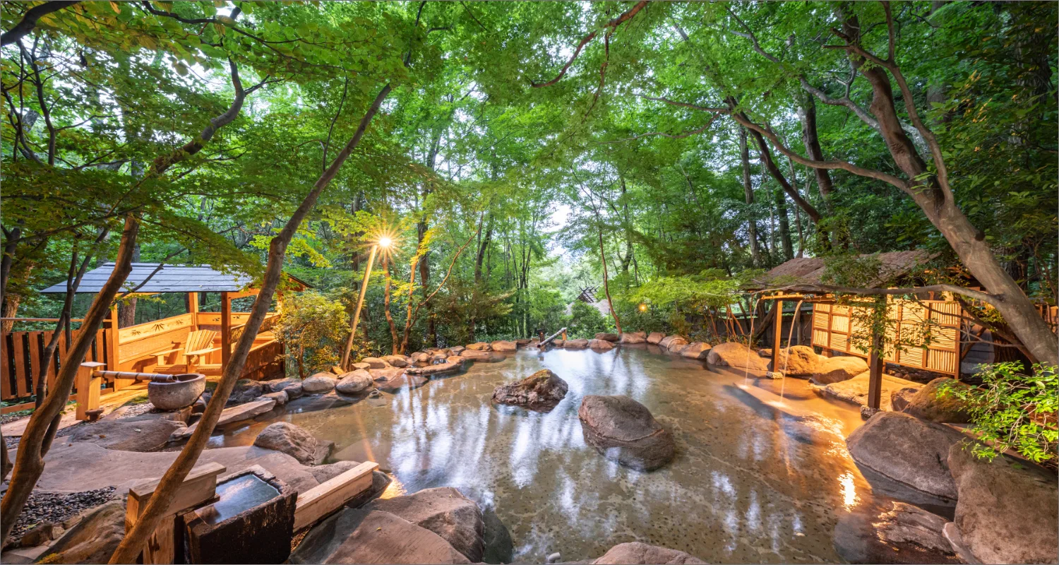A bath at Nihon no Ashitaba