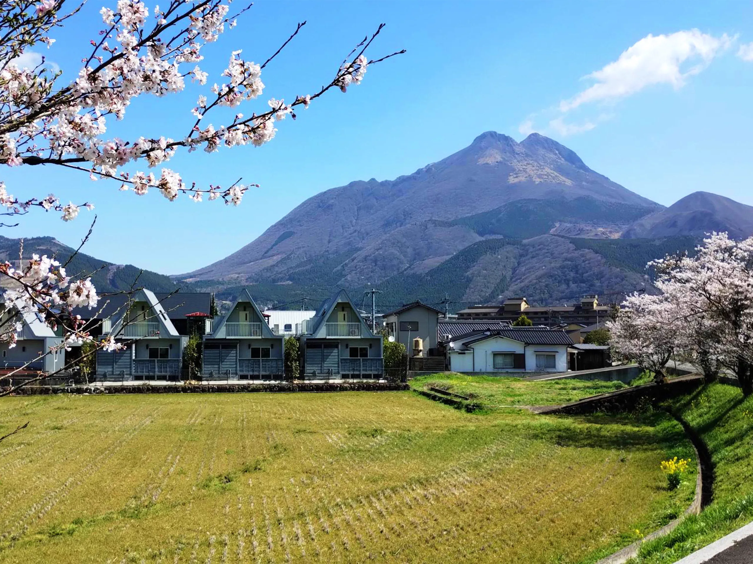 Is Yufuin 8A1 Yaeichi Worth a Stay?
