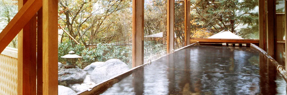 Kinugawa Onsen Day Use: Hotel Baths or a Private Rental Room?