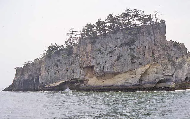 Pine-covered islands in Matsushima Bay