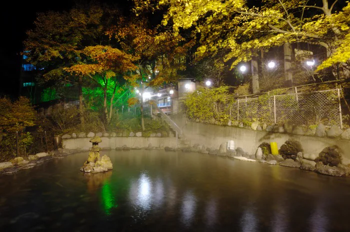 Yumoto Choseikan Day Visit: Two Baths, Two Separate Tickets