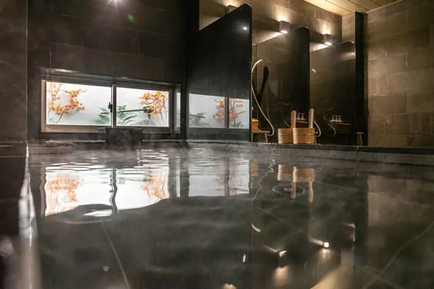 Hiroshima Hotels with Natural Onsen: Dormy Inn, Super Hotel or Grand Prince?