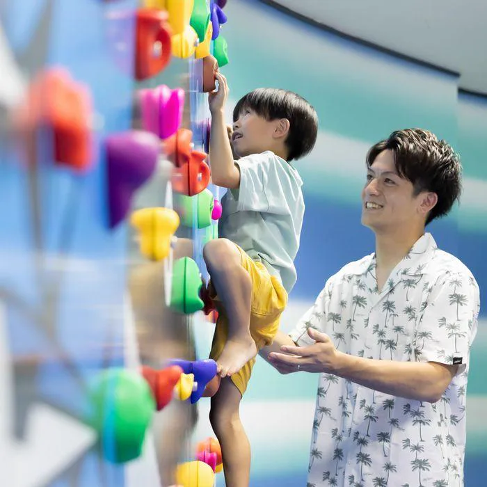 Shimoda Onsen Through the Seasons: When to Walk, Swim and Soak