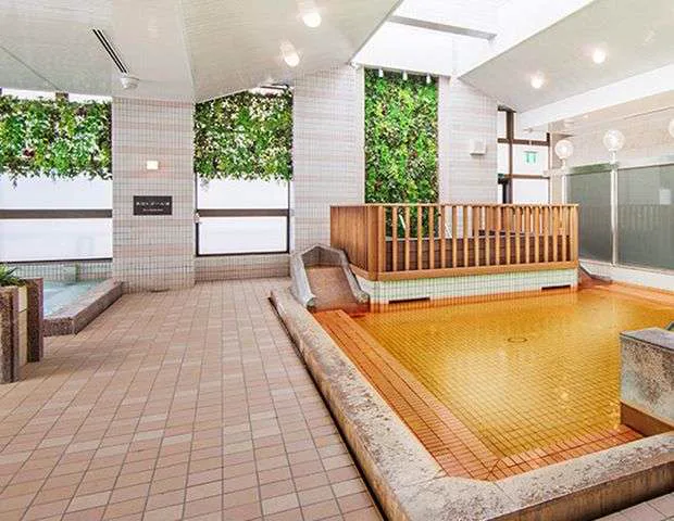 Hasunuma Onsen in Tokyo: Three Spring Baths and a Free-Flowing Cold Pool