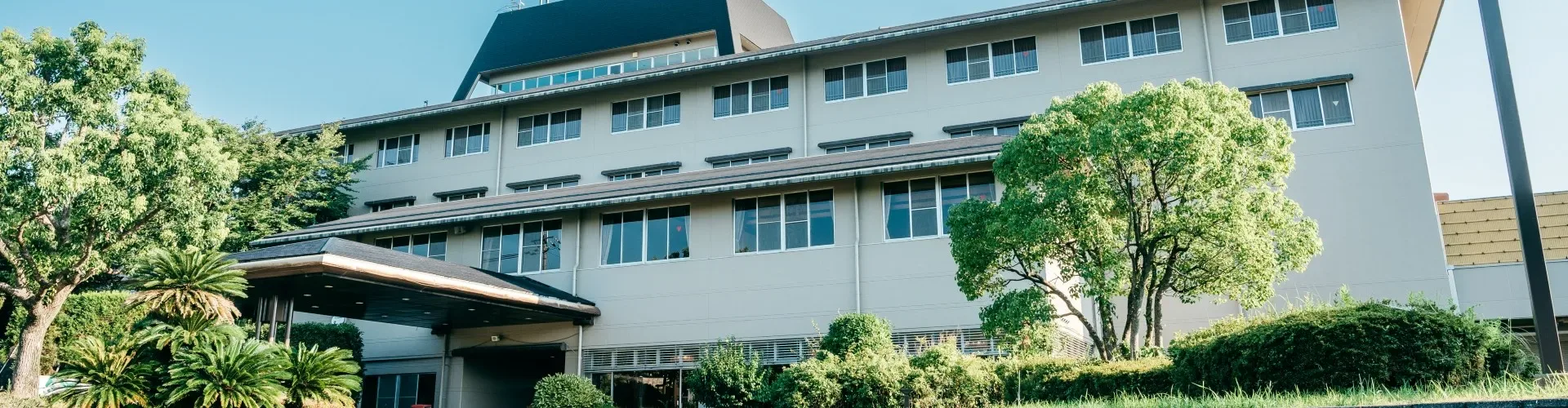 KAMENOI HOTEL Tondabayashi: day-use hot spring or an all-inclusive stay?