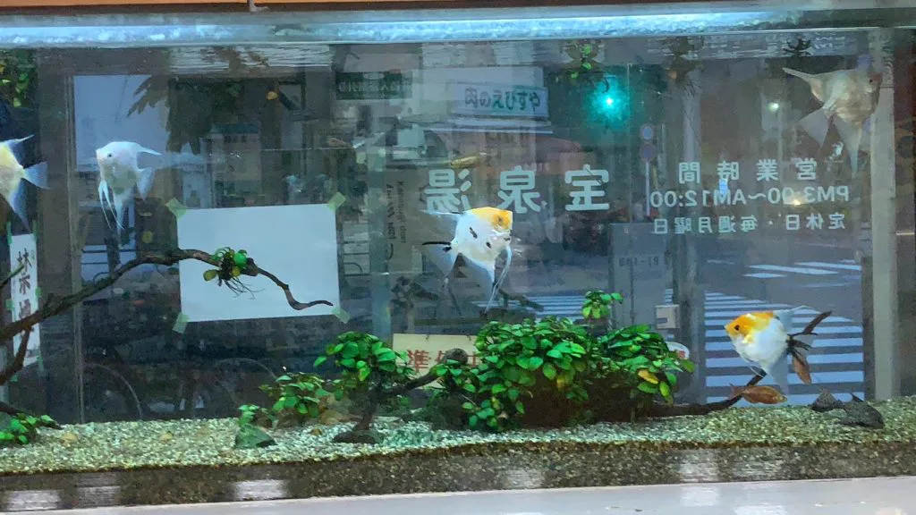 Hosenyu bathhouse in Tokyo