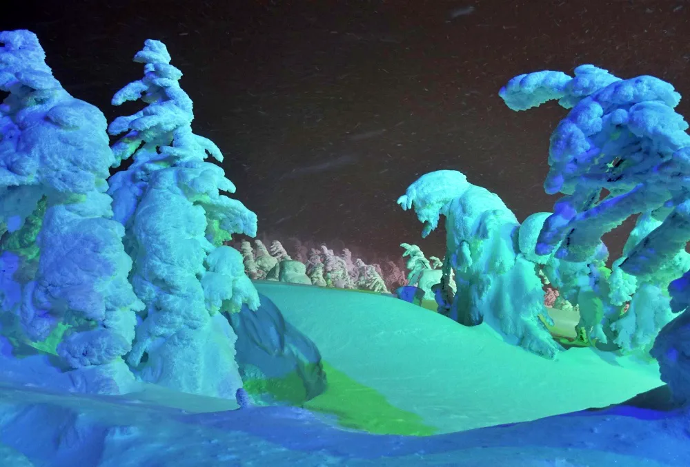 Zao Snow Monsters by Day or at Night? Light-Up, Tickets and Access