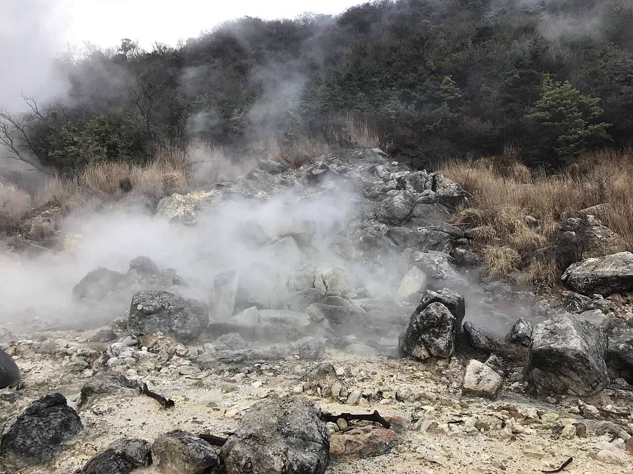 Unzen Onsen Day Trip or Overnight? What a Room Actually Buys You