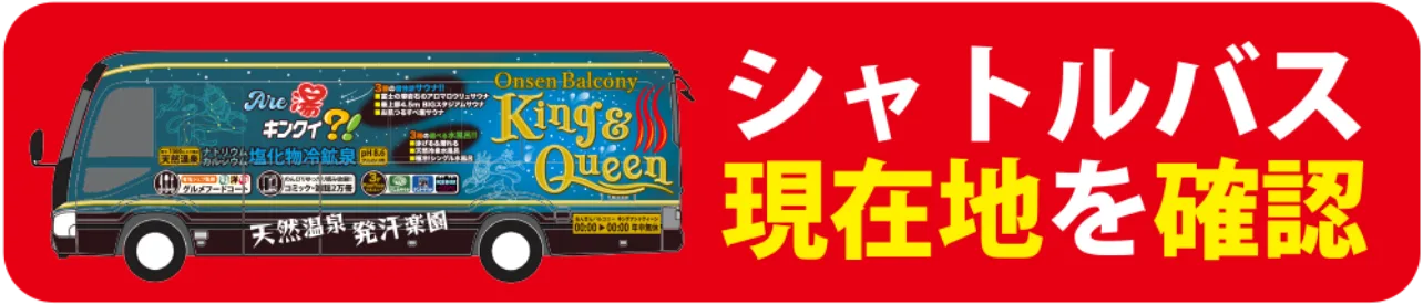 King & Queen in Tokorozawa: Choose Your Bath and Sauna Budget
