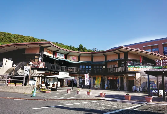 JR Kyushu regional rail and bus travel in Kagoshima Prefecture