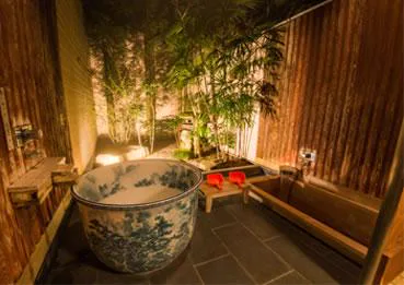Ureshino Onsen Day-Use Baths: Siebold no Yu, Tokai and Hatsuneso
