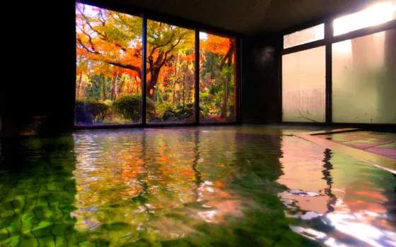 Issuiso Day-Use Onsen: A ¥700 Bath with Clear Water-Handling Details