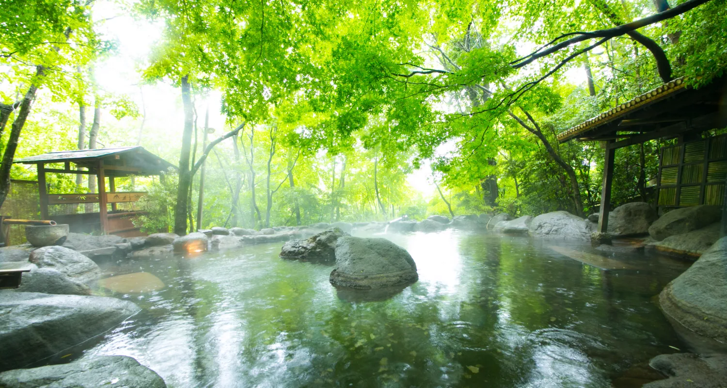 Bath setting at Nihon no Ashitaba