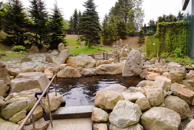 Tokachigawa Daiichi Hotel: stay for the baths, not just the photograph