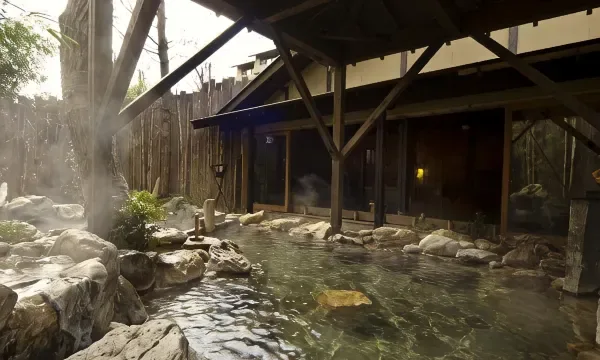 Private natural hot-spring open-air bath and terrace in a Hakone Kowakien Ten-yu guest room