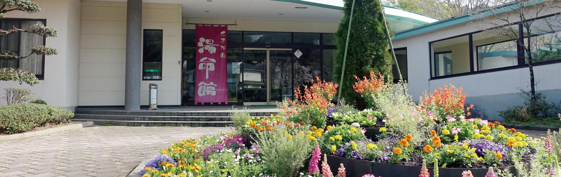 Day-Use Onsen in Sekigane and Iwai: Which Bath Fits Your San-in Trip?