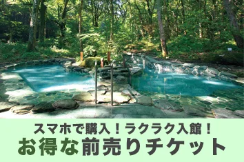 Only You in Minamiashigara: Is the Women’s Barrel Sauna Right for You?