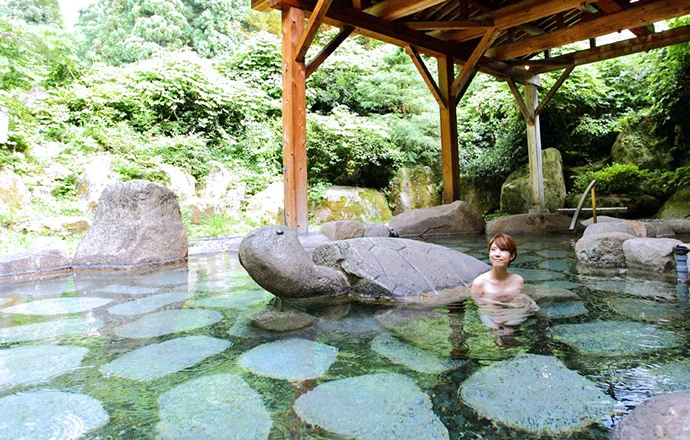 Getting to Murasugi Onsen from Niigata: A Day-Trip Plan for Chouseikan