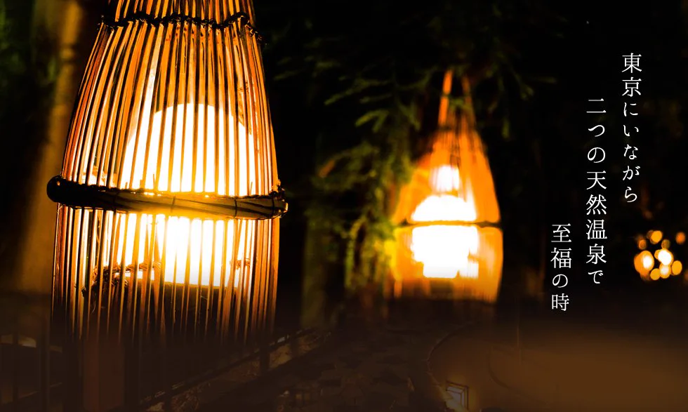 Musashikoyama Shimizuyu: Two Natural Springs for the Price of a Tokyo Sento