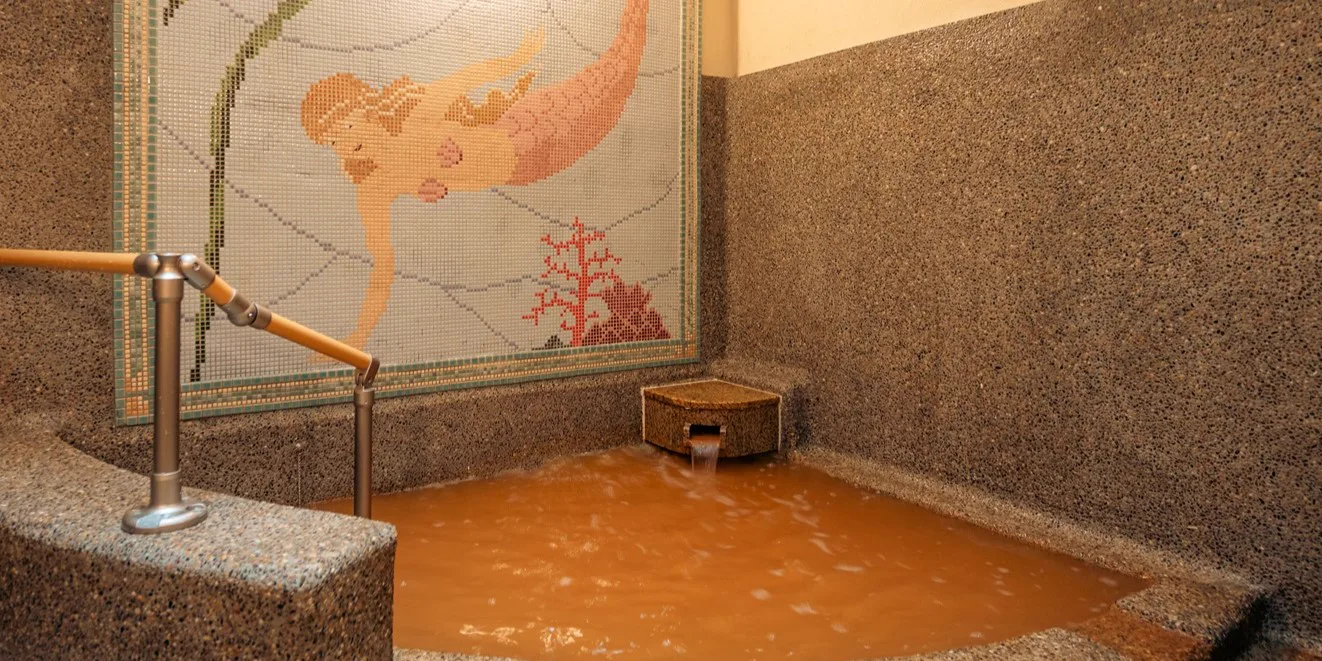 Tsutaba private bath with bathing aids