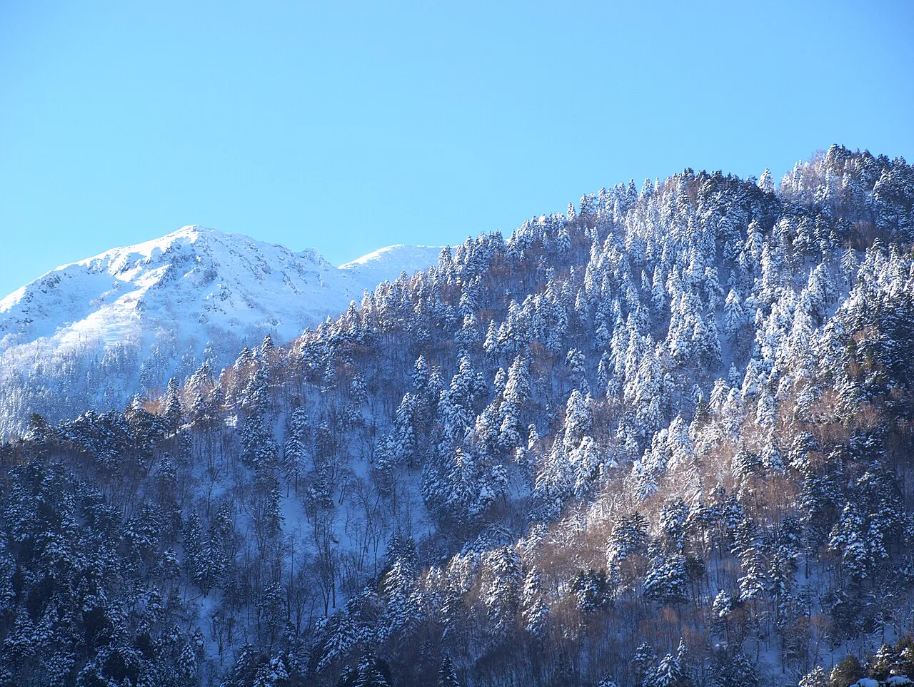 Takayama to Okuhida Onsen: Bus Stops, Route Variants and Transfers
