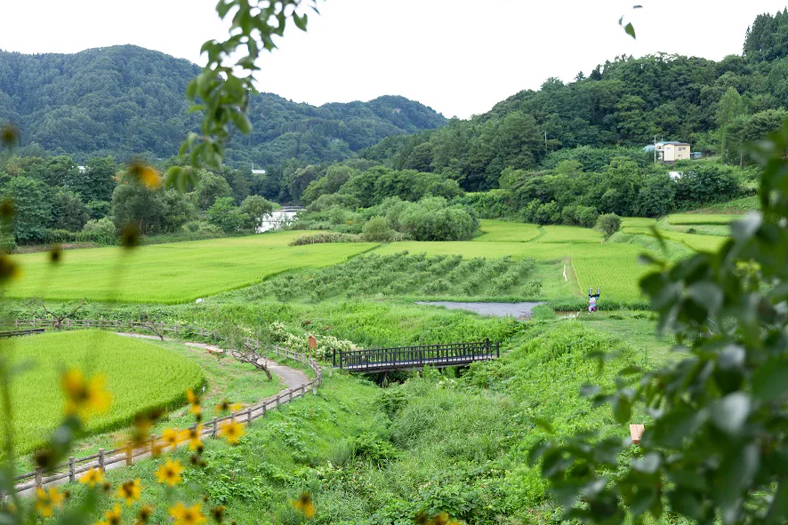 Obonai at Kindaichi Onsen: A ¥600 Day-Use Bath in a Traditional Ryokan