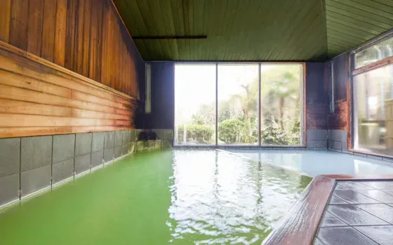 Sakihana Onsen: Should You Stay Overnight or Visit for the Day?