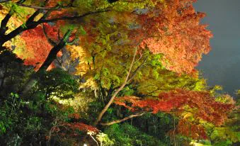 Choosing an Arima Onsen Ryokan: What Your Bath Access Actually Includes