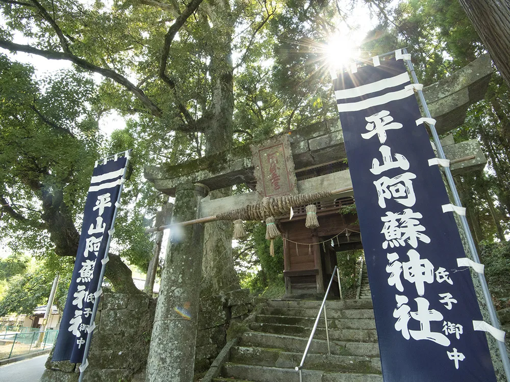 Yamaga and Hirayama Through the Seasons: When to Visit and What to Check