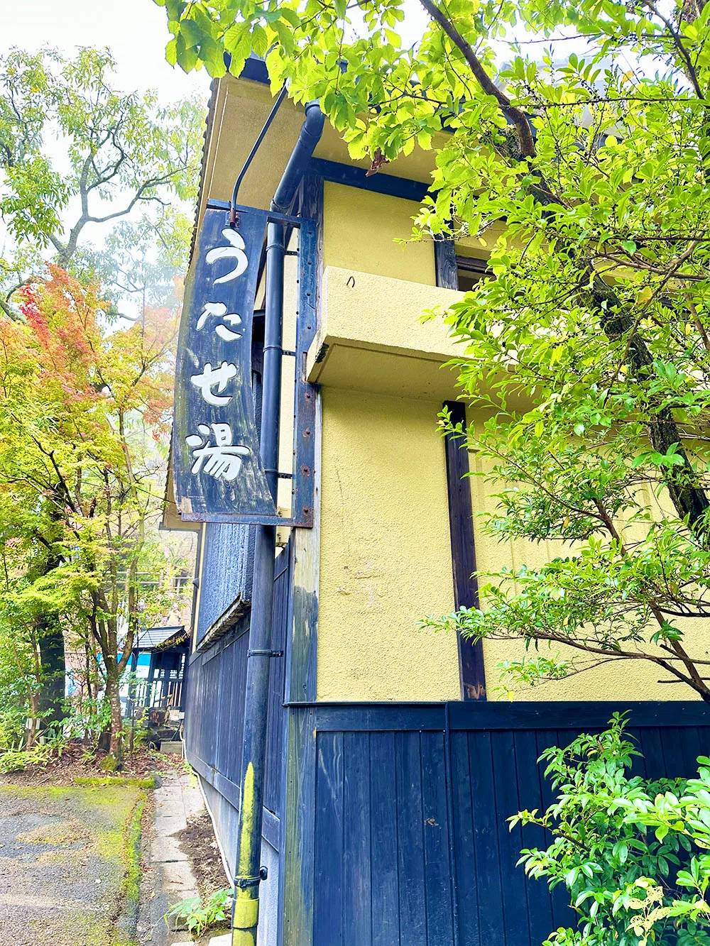 Sujiyu Onsen Day-Use Baths: Which One Fits Your Visit?