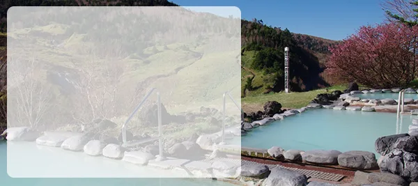 Manza Prince vs. Manza Kogen: Which Onsen Works Better for a Day Trip?