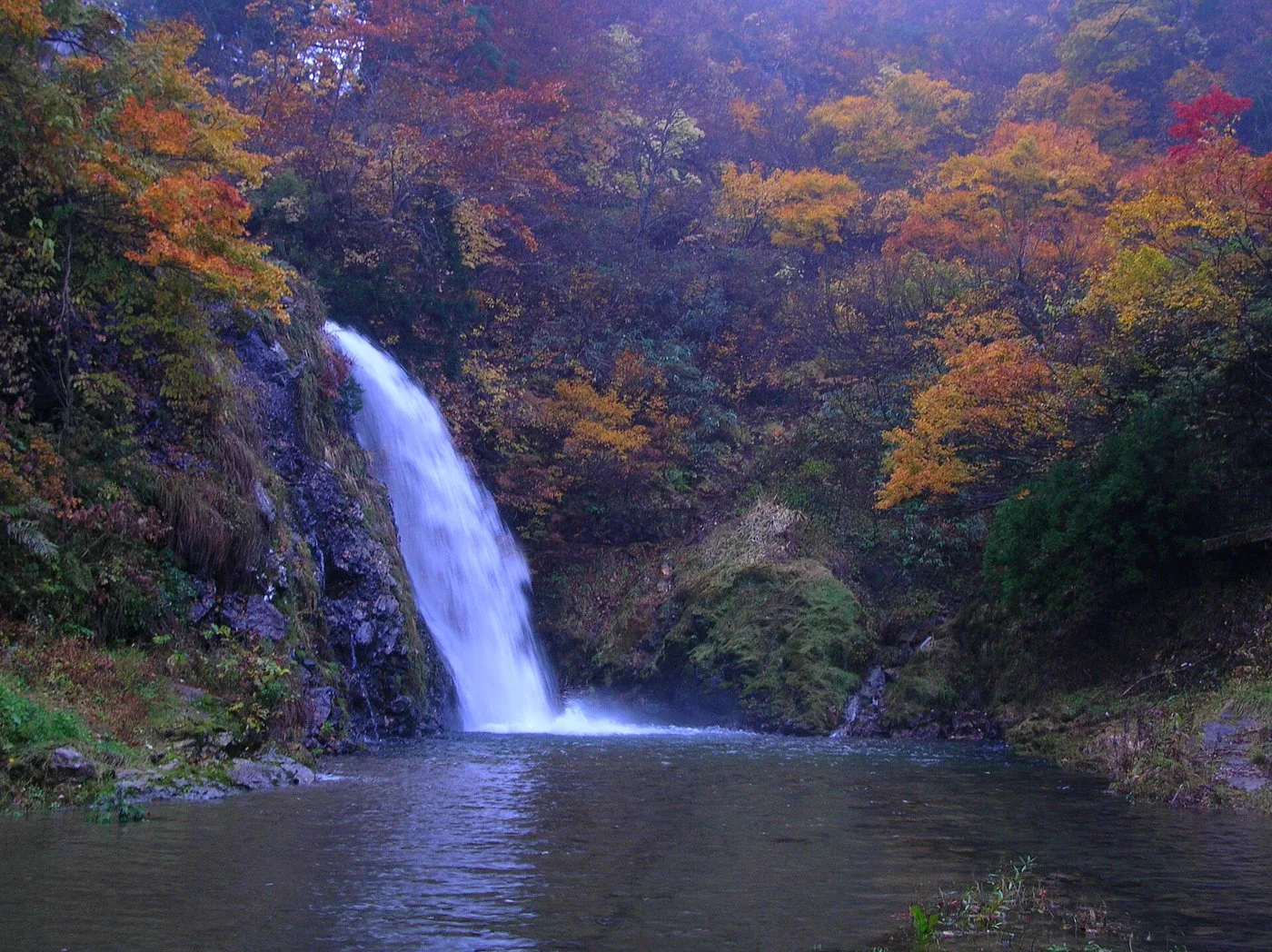 Late-Night Onsen in Kyushu: Baths After Dinner and After 10 p.m.